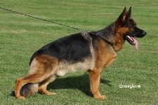 Photo35