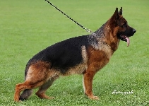 Photo34