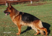 Photo33
