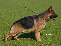 Photo37