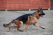 Photo32