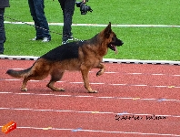 Photo31