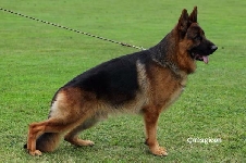 Photo30