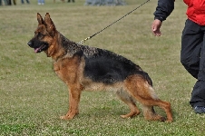 Photo30