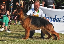 Photo29