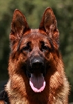 Photo29