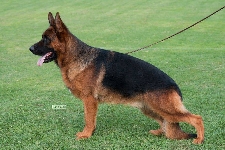 Photo28