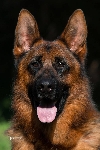 Photo28