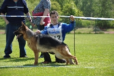 Photo28