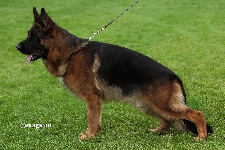 Photo26