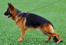 Photo25