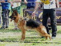Photo25
