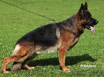 Photo24