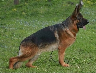 Photo23