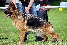 Photo23
