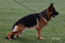 Photo22