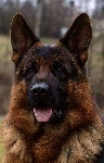 Photo22