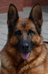 Photo22
