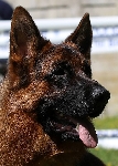 Photo21