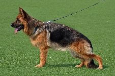 Photo21