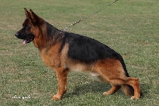 Photo20