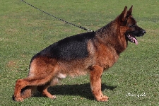 Photo20