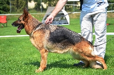 Photo20