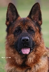 Photo19