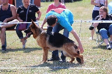 Photo17