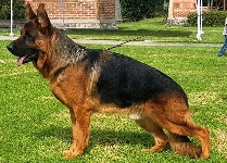 Photo15