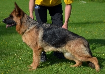 Photo15