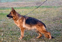 Photo14