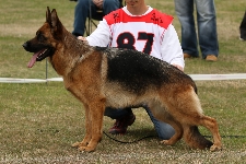 Photo9