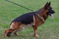 Photo8