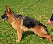 Photo8