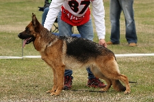 Photo6