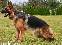 Photo3