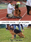 Photo2
