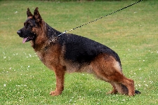Photo0