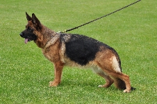 Photo0