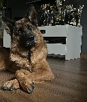 Photo1