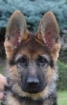 Photo1
