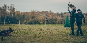 Array