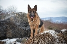 Array